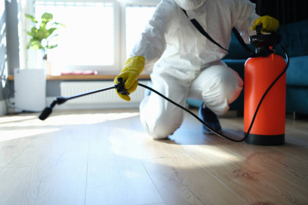 Reliable Odor Removal contractor in San Joaquin, CA by Trauma Clean Pros